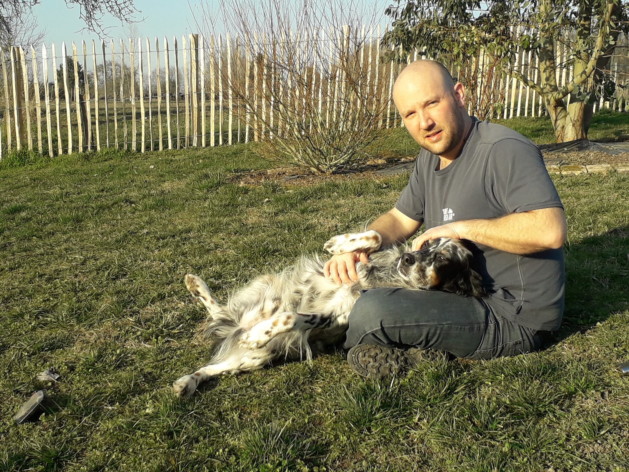 Coach and Dog — photo