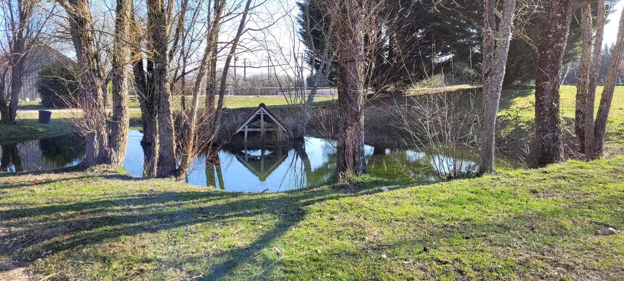 Pension canine et féline La forêt du lys — photo