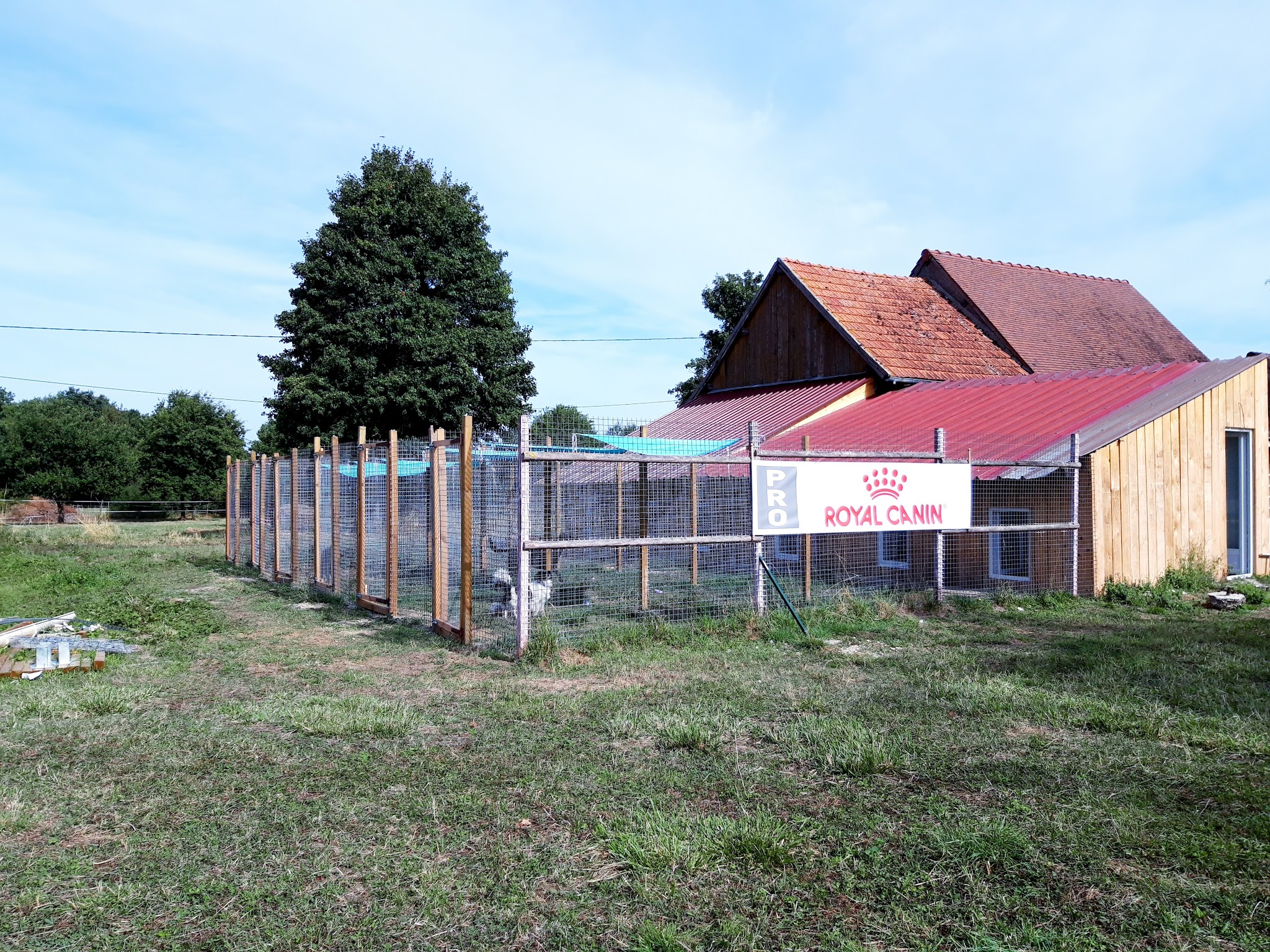 Pension canine et féline La forêt du lys