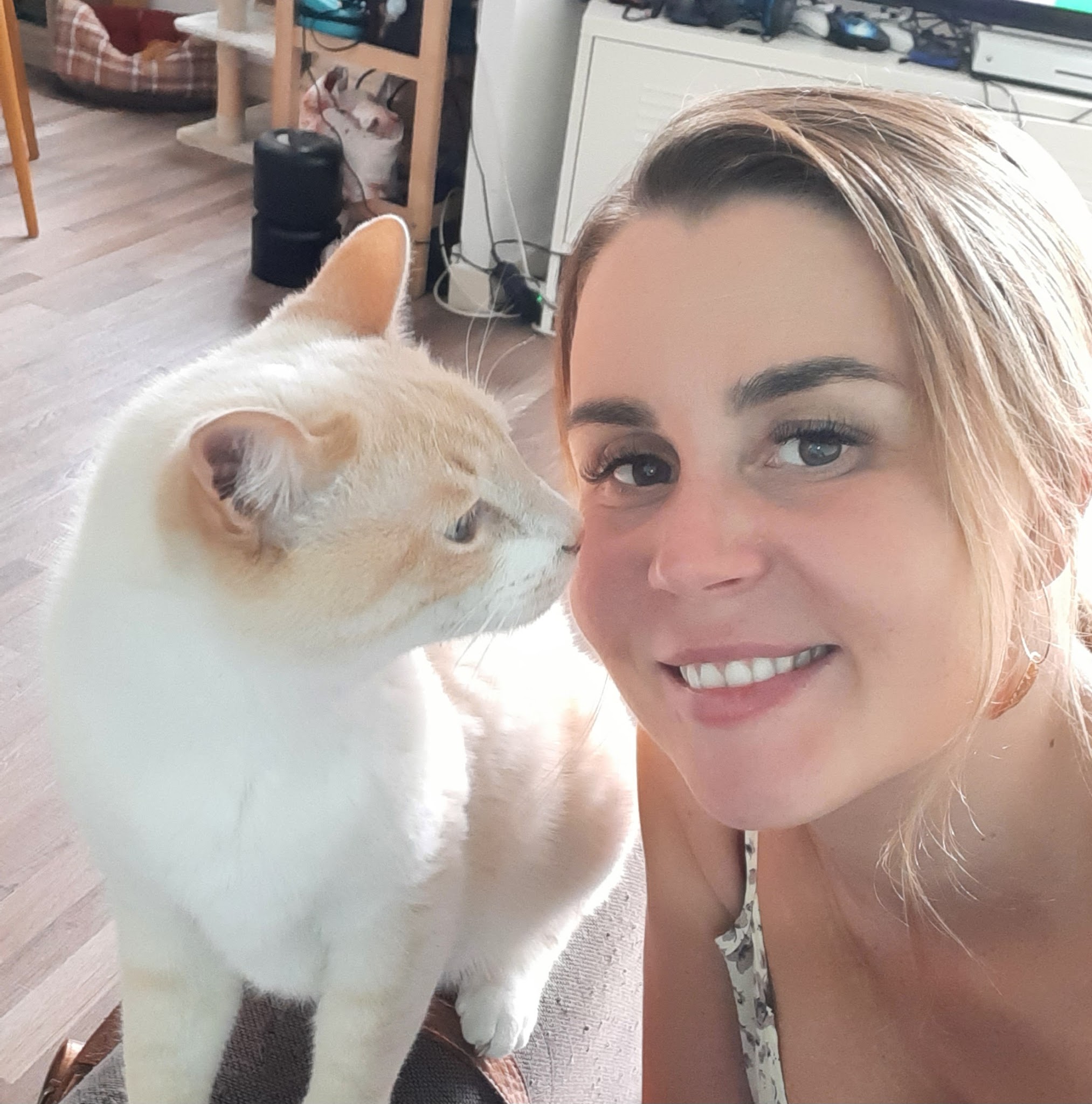 CatSweetHome — photo