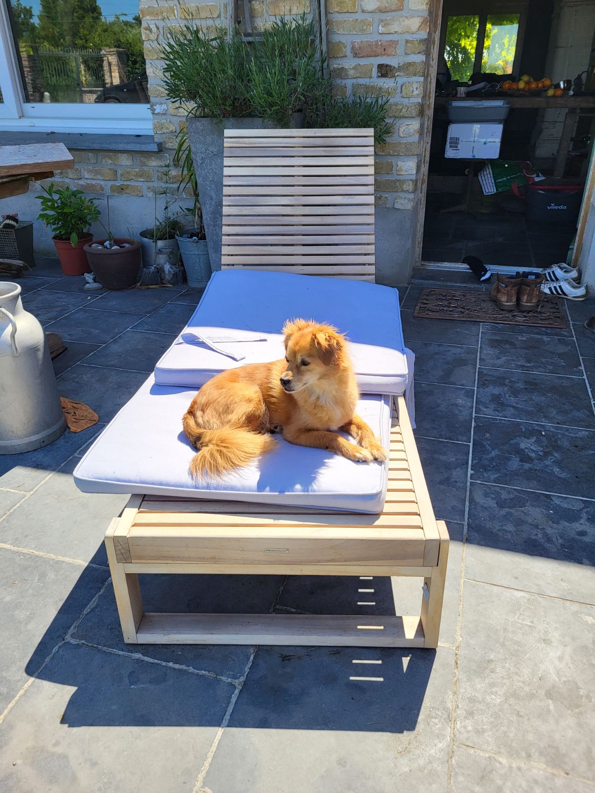 Garde d'Animaux Dunkerque Sabrina — photo