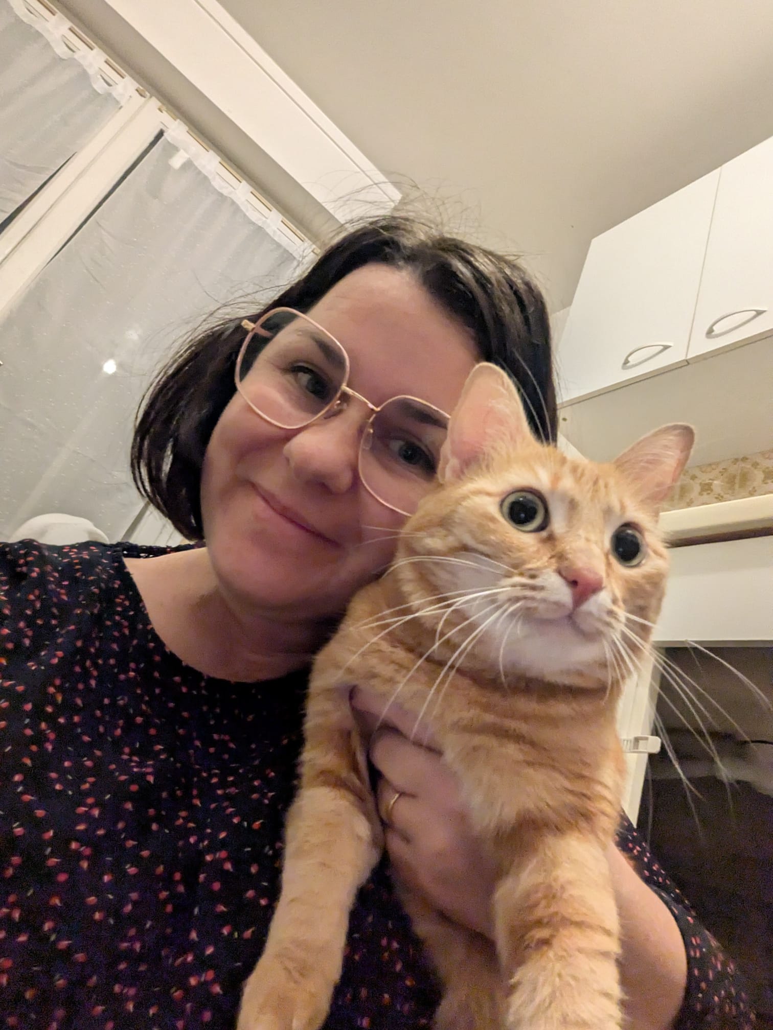 Marjorie Pet Sitting 83 — photo