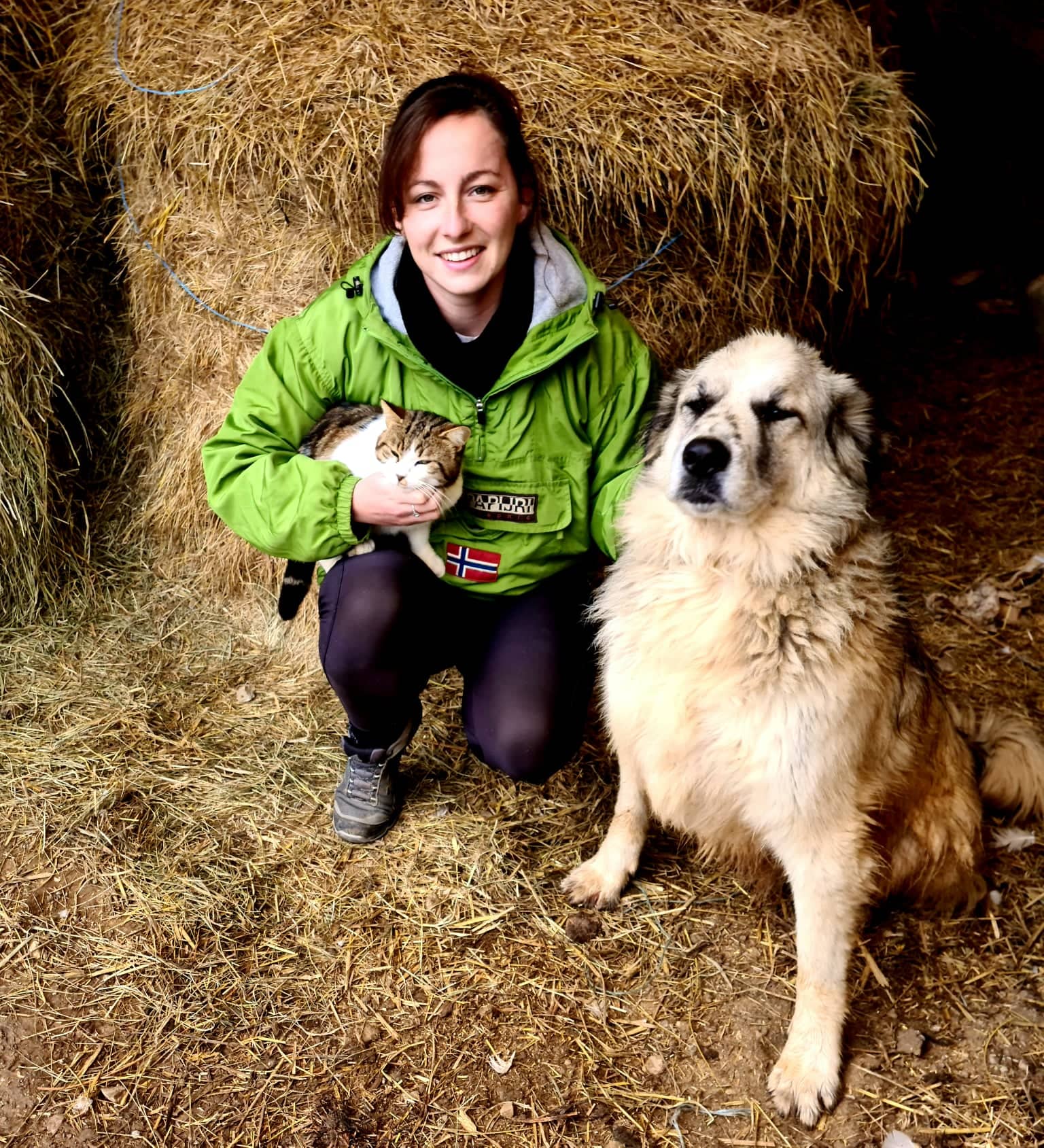 Camille au service de vos animaux