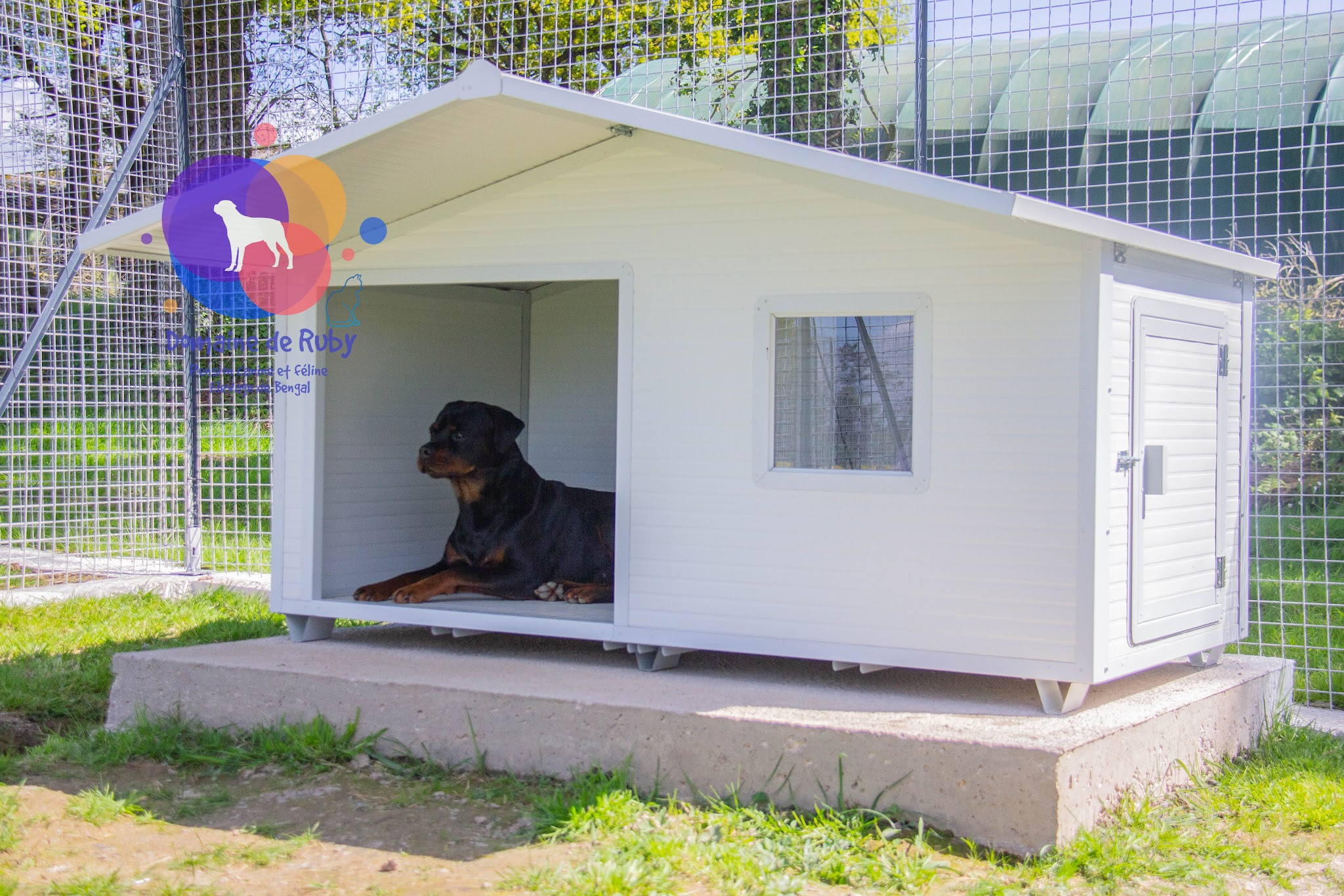 Domaine de Ruby Pension canine et féline — photo