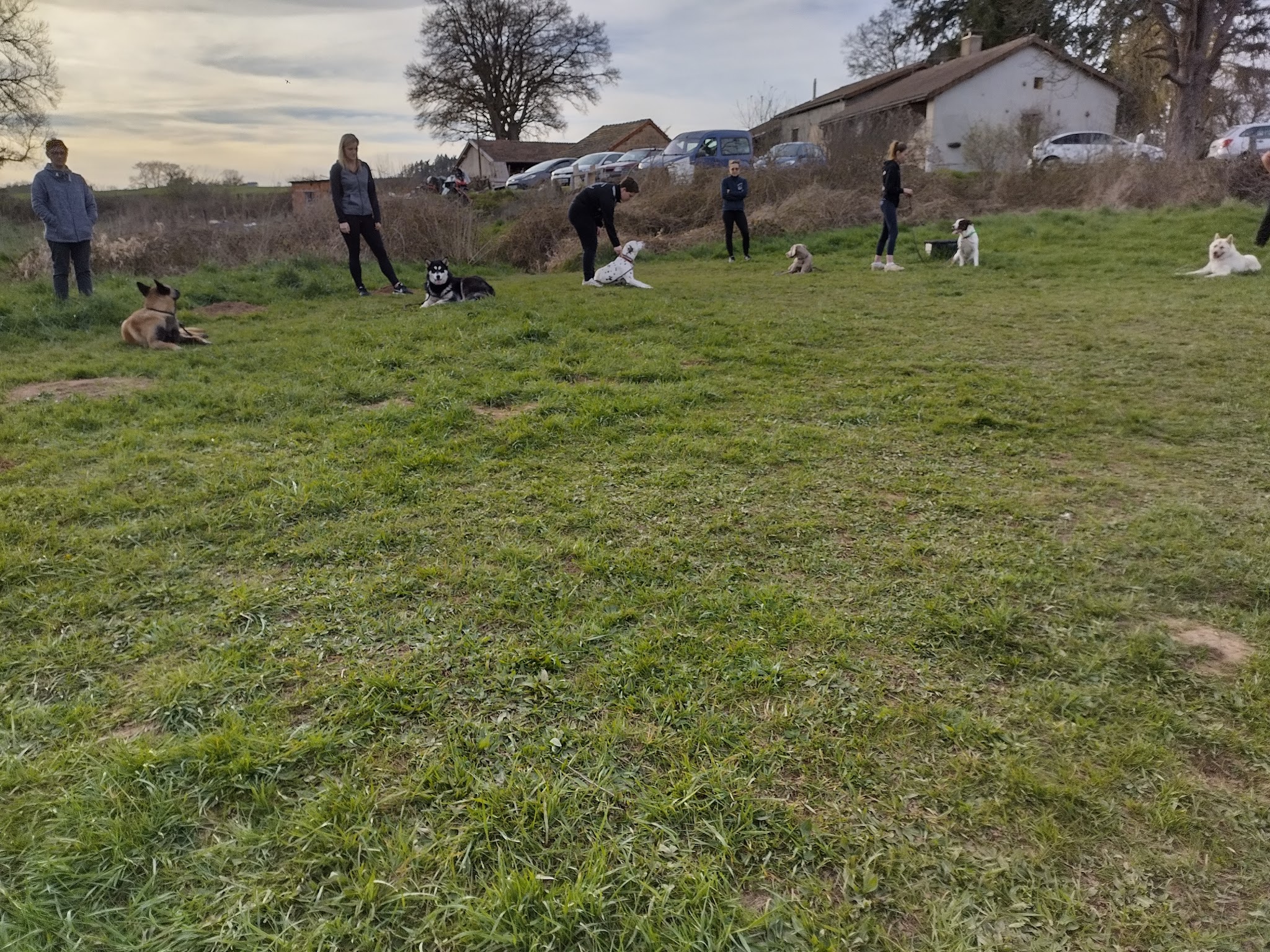 Centre Canin le Brin de Folie d'EASY — photo