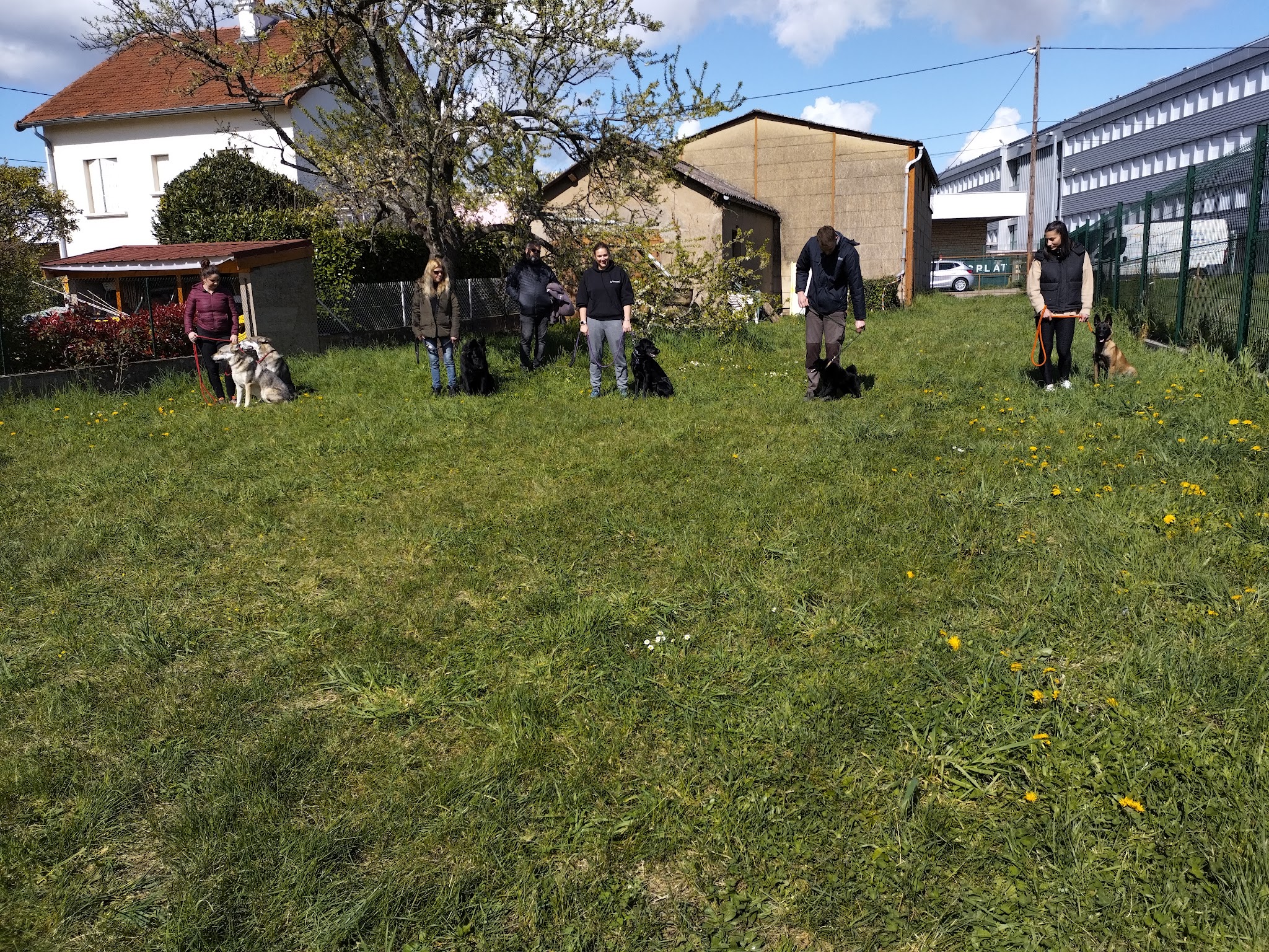Centre Canin le Brin de Folie d'EASY — photo