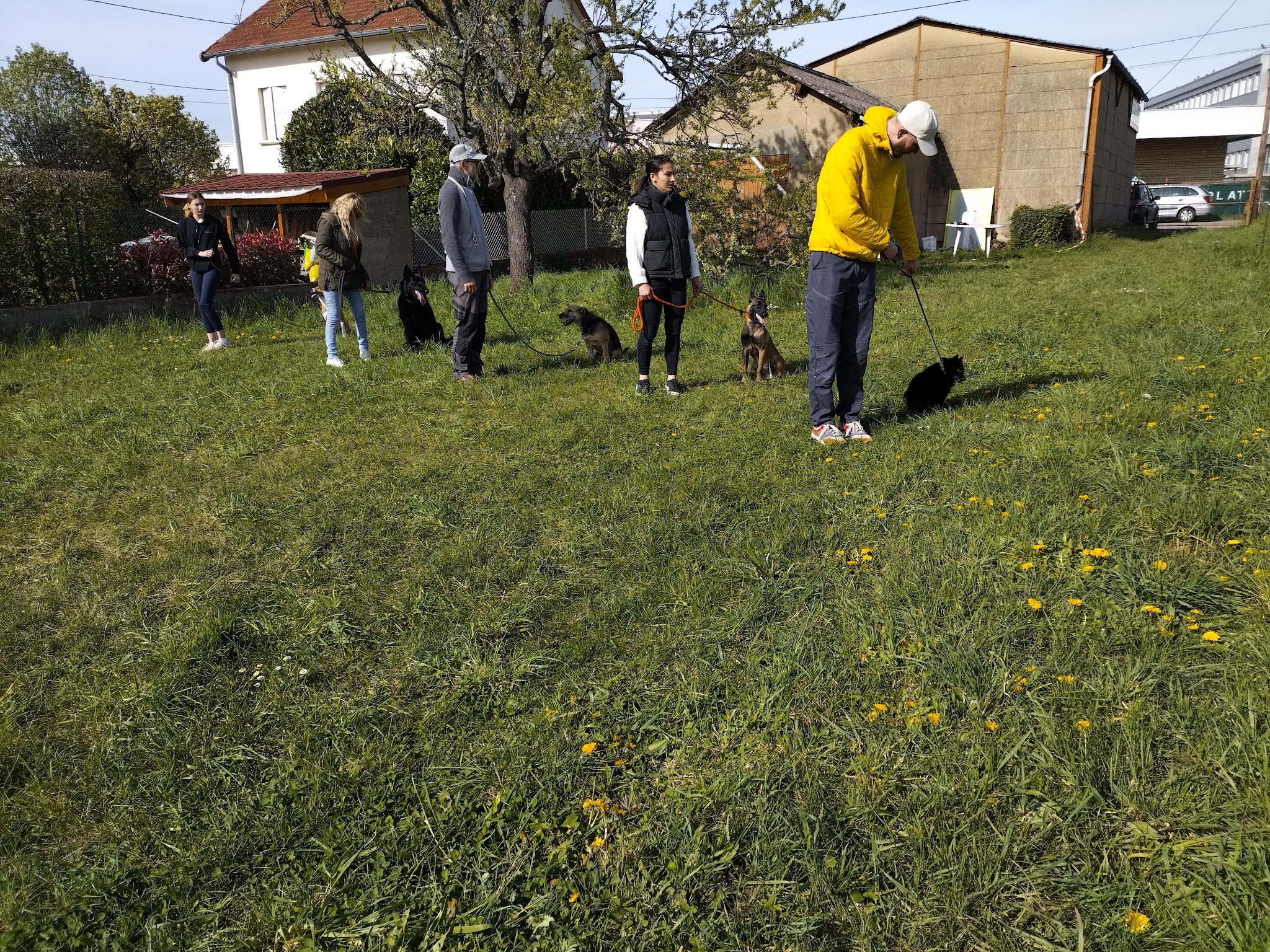 Centre Canin le Brin de Folie d'EASY