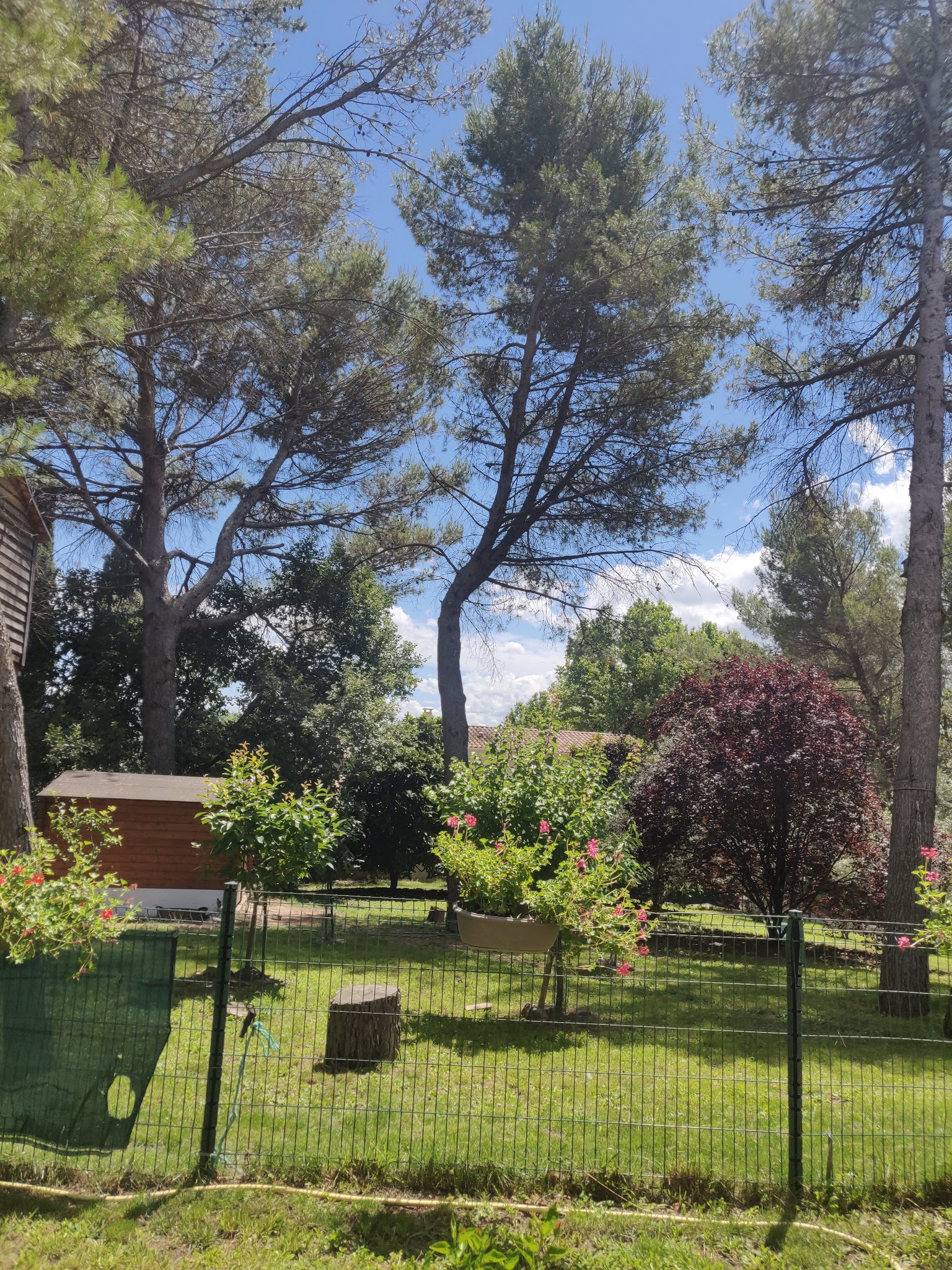 Animob'Isle - Mifsud Carole — photo