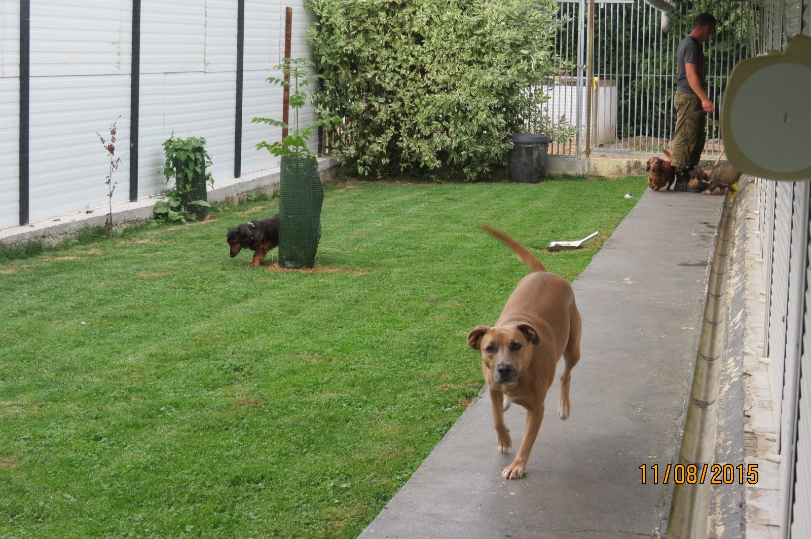 Gîte Canin de Ruesnes — photo