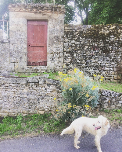 Sophie & Compagnie