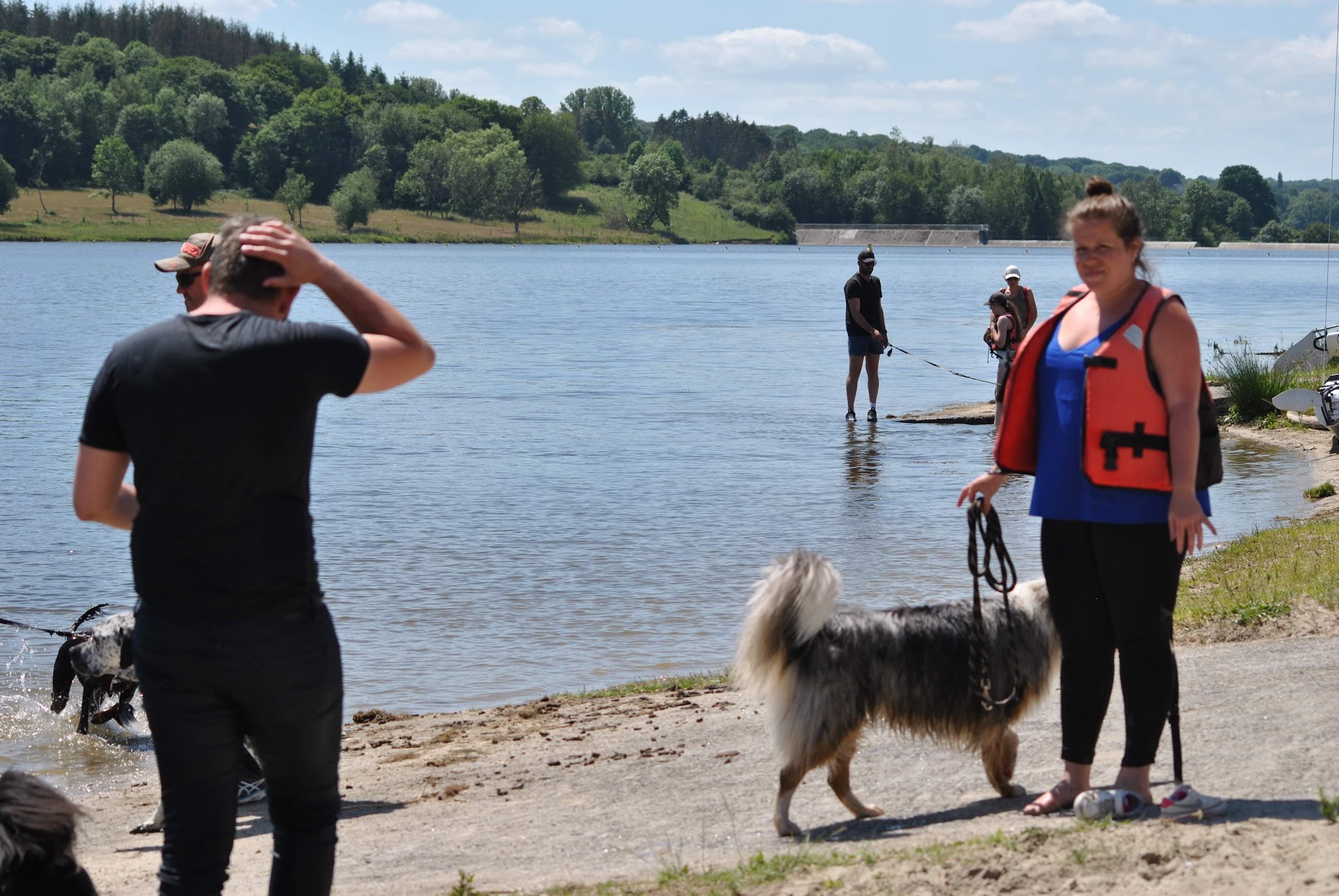 Domaine de la Lumière de Tyché : Education canine (chiots et adultes) - Agility et Dog Dancing - Elevage — photo