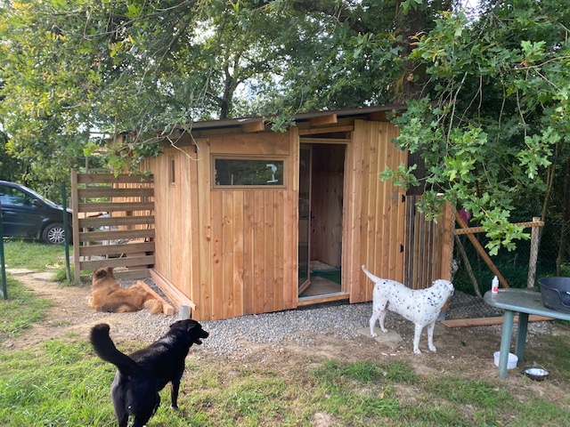 Au chien savant pension canine — photo