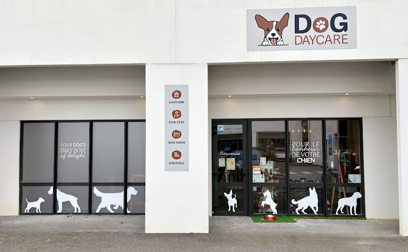 DOG DAYCARE