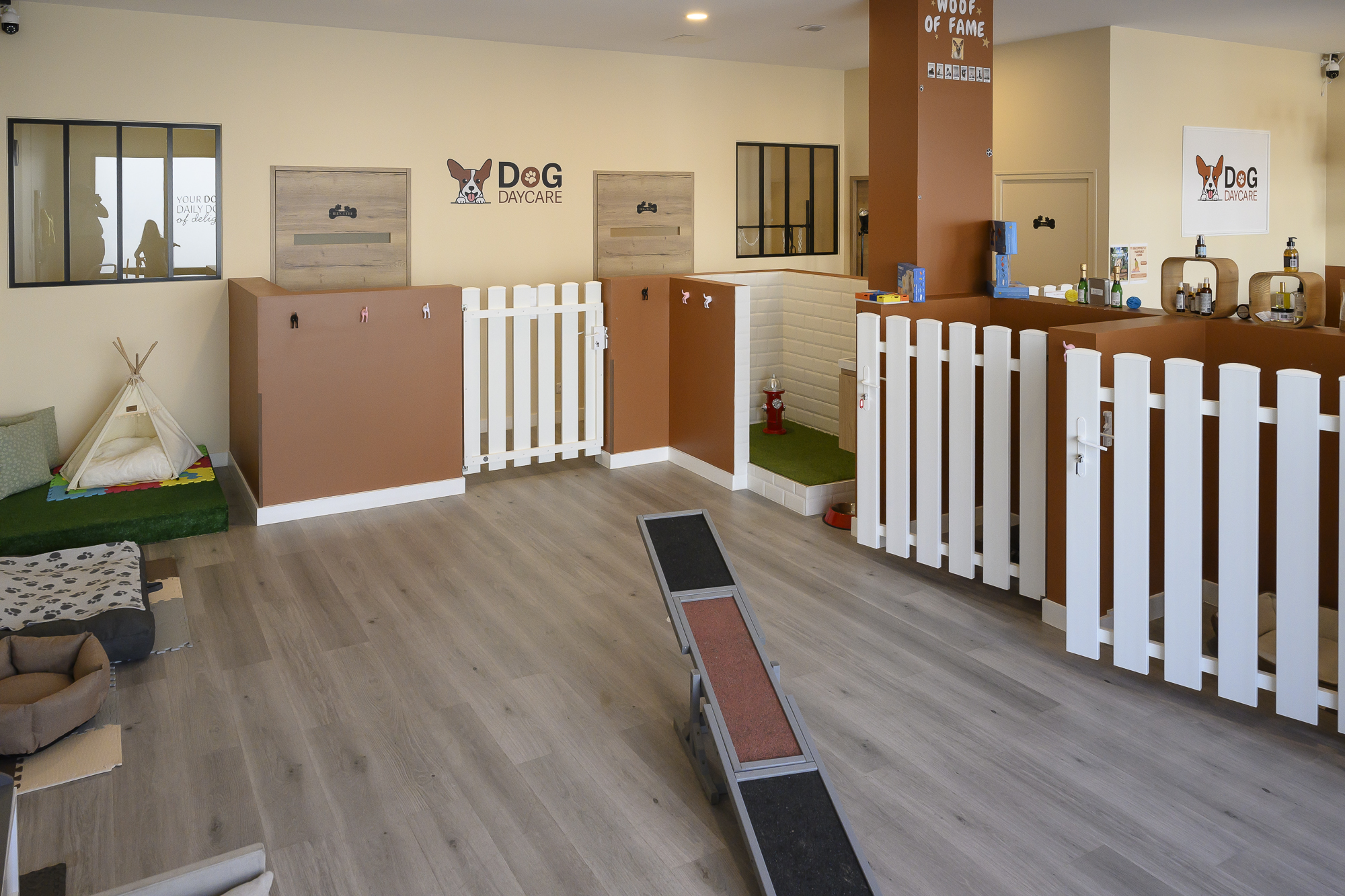 DOG DAYCARE — photo