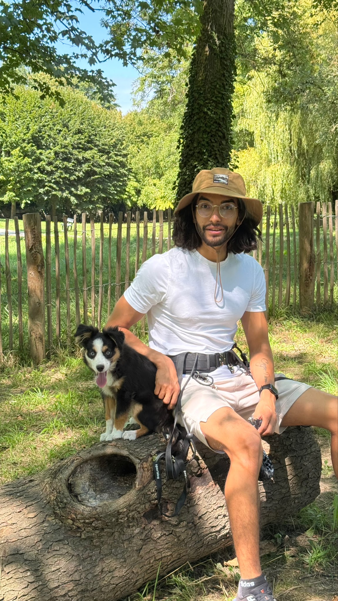 Dogtavio - Éducation Canine - Garderie et Promenades de Chiens — photo