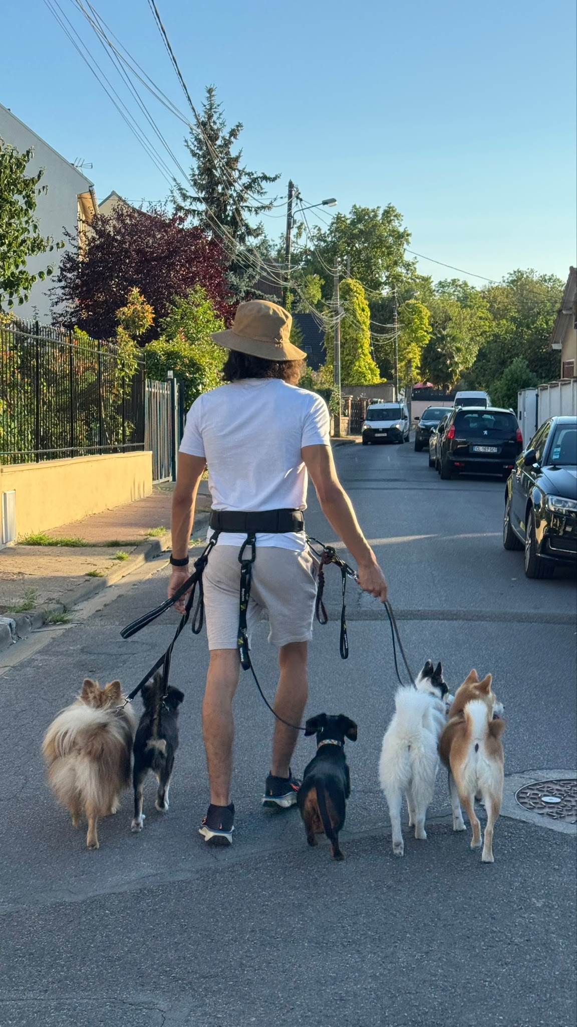 Dogtavio - Éducation Canine - Garderie et Promenades de Chiens — photo