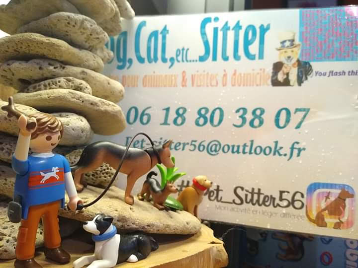 Pet Sitter 55