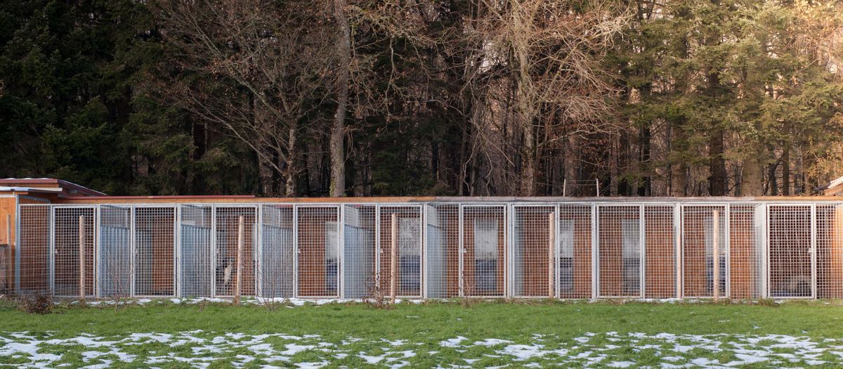 Au Doubs Chenil Pension Canine & Féline 25 — photo
