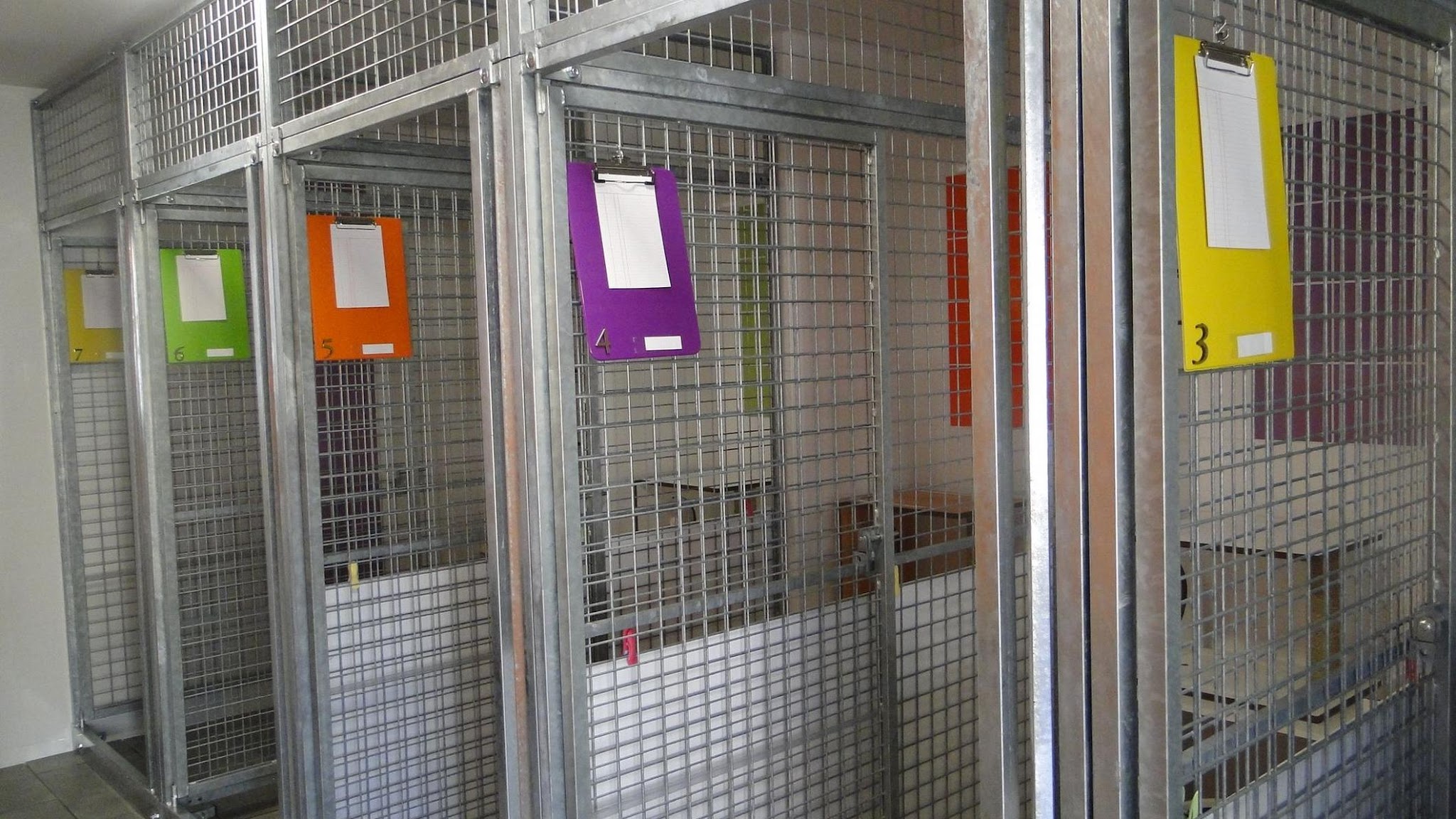 Le Refuge des PaChats