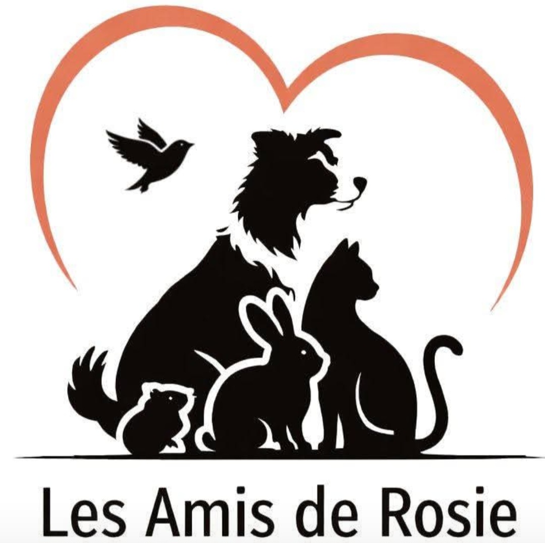 Les Amis de Rosie — photo