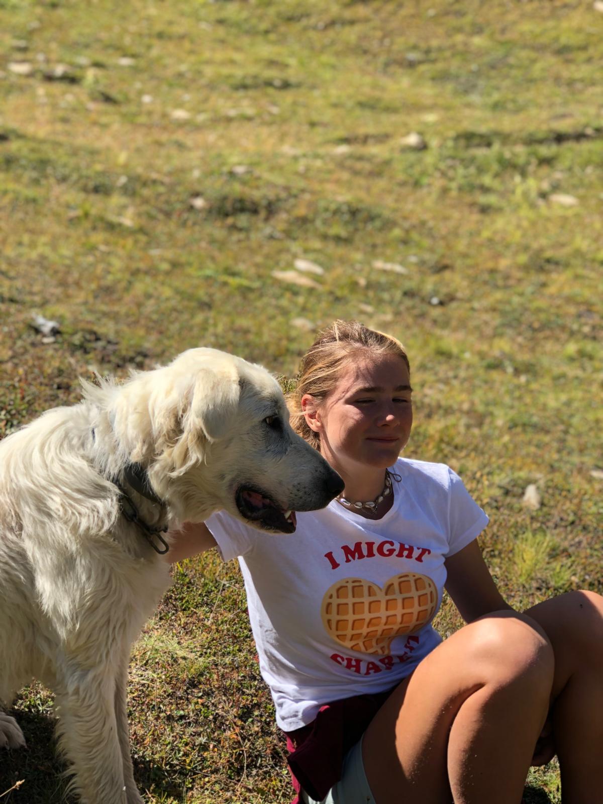 Ker Wouf - Pension canine - Dog sitting - Garde de chiens — photo
