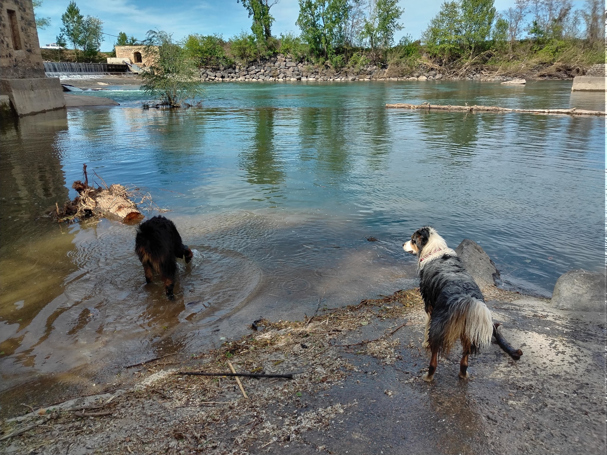Colo Dog's And Co — photo