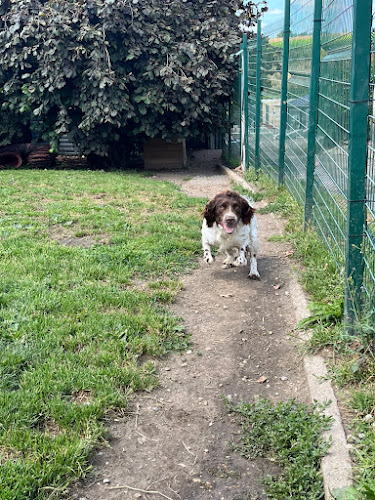 Pension Heladog