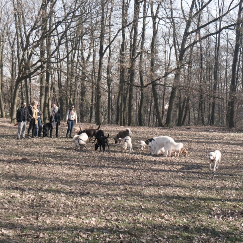 Maison Moisan - santé et bien-être animal — photo