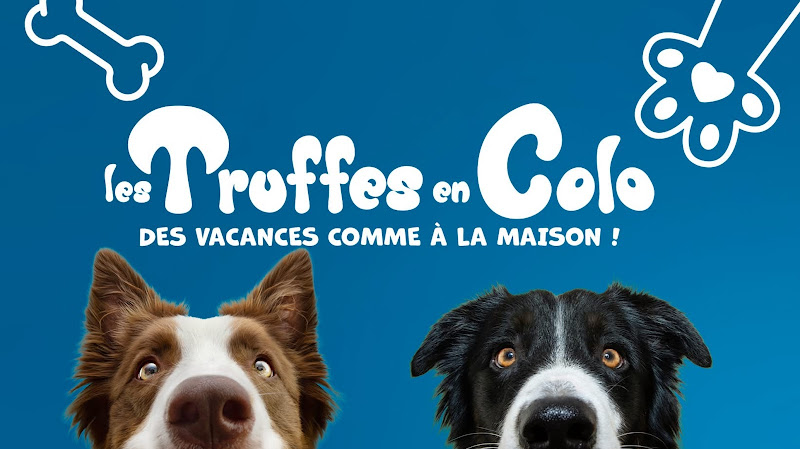 Les Truffes en Colo - Pension Canine