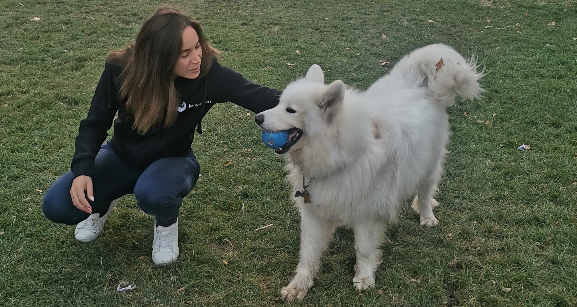 Comportementaliste chat et chien, service de promenade pour chien, pet sitting - Pet Care