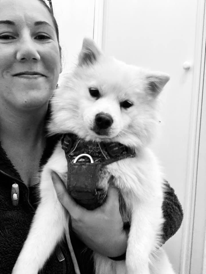 Missy&Co78 - Pet Sitter / garde d’animaux à votre domicile dans les Yvelines (78) — photo