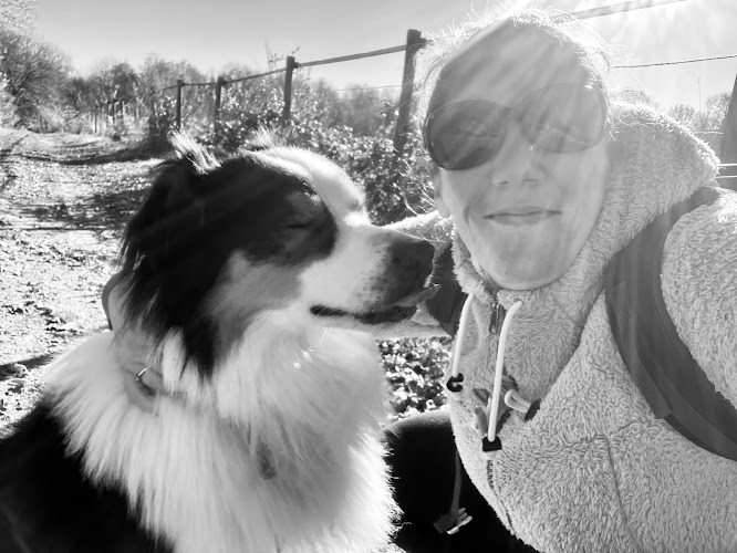 Missy&Co78 - Pet Sitter / garde d’animaux à votre domicile dans les Yvelines (78)