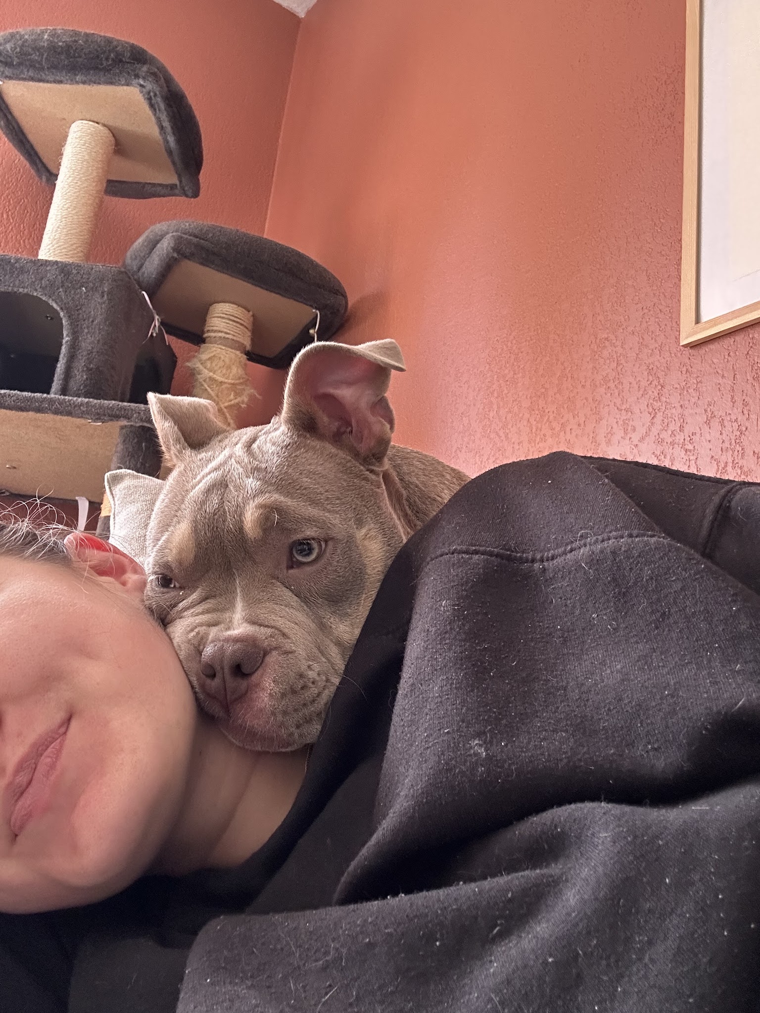 Alhena Petsitting — photo