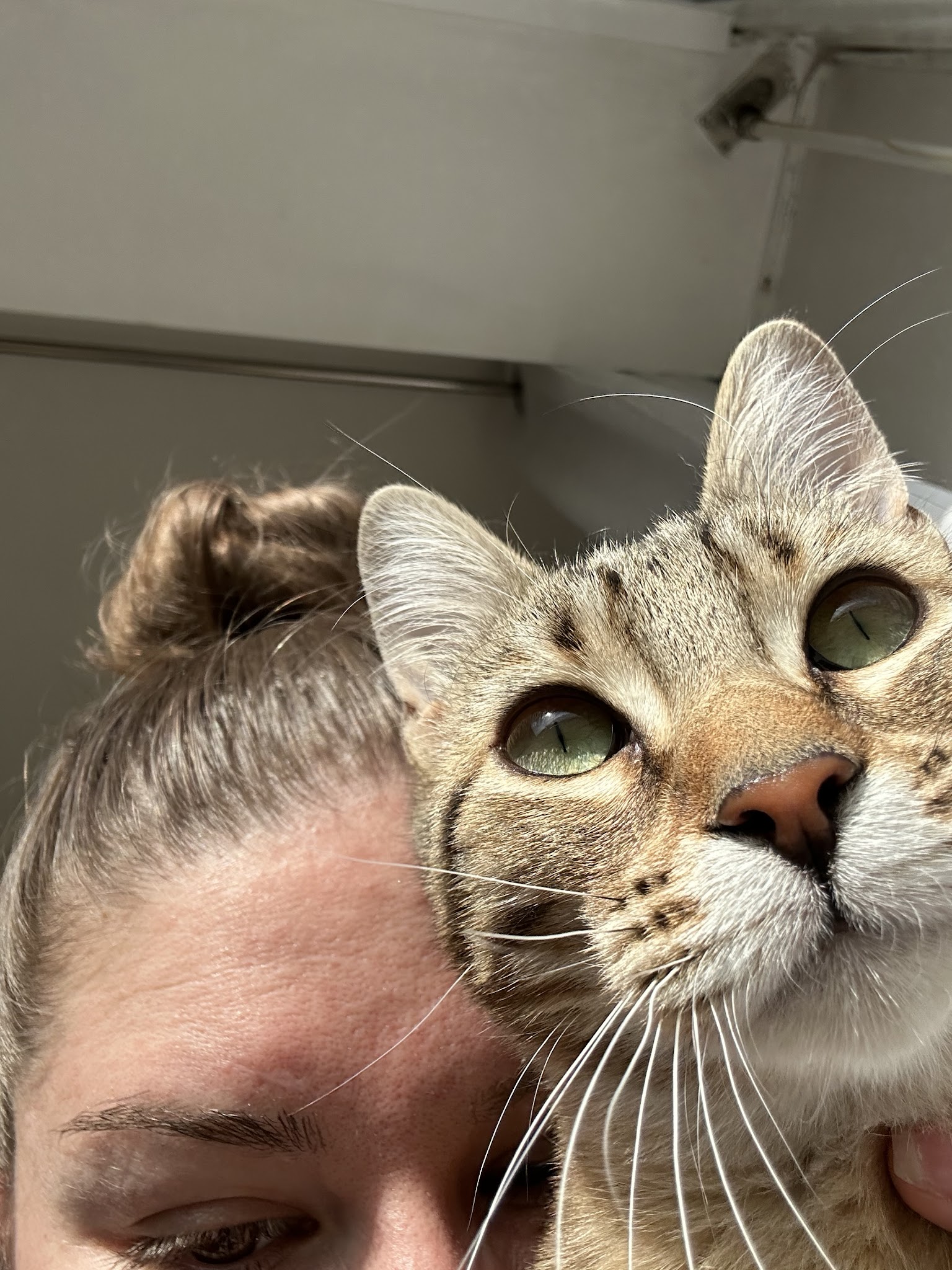 Alhena Petsitting — photo