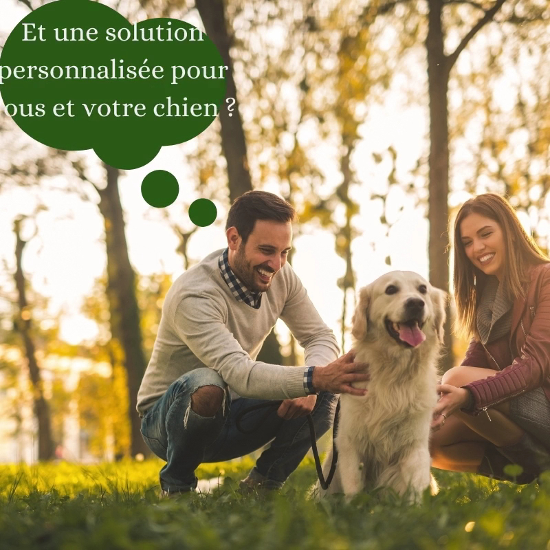 HK-comportement : communiquer avec son chien — photo