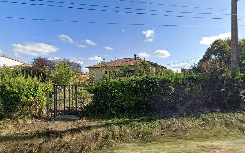 L’Arche Fauve
