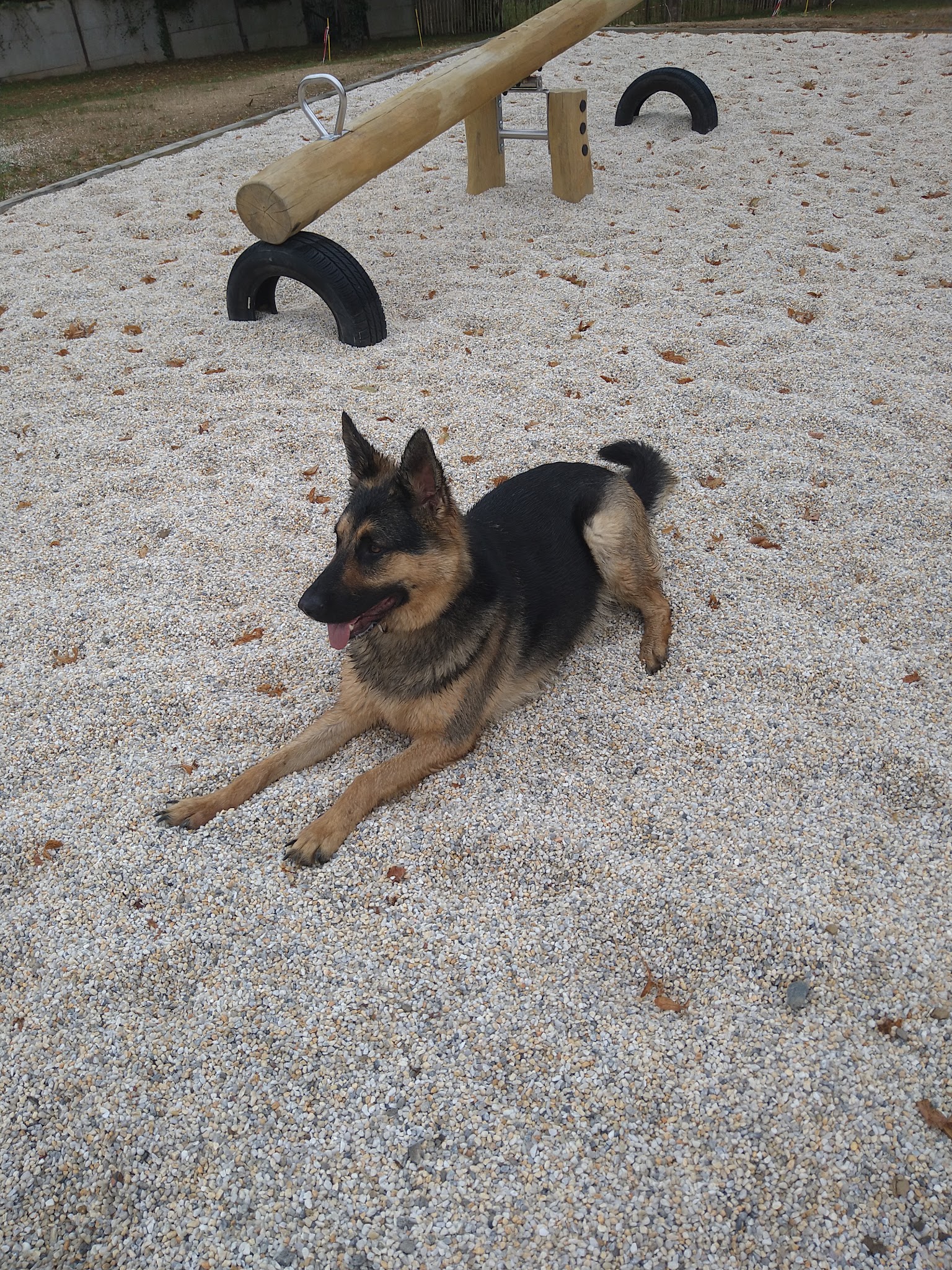 Les P'Ty Loups — photo