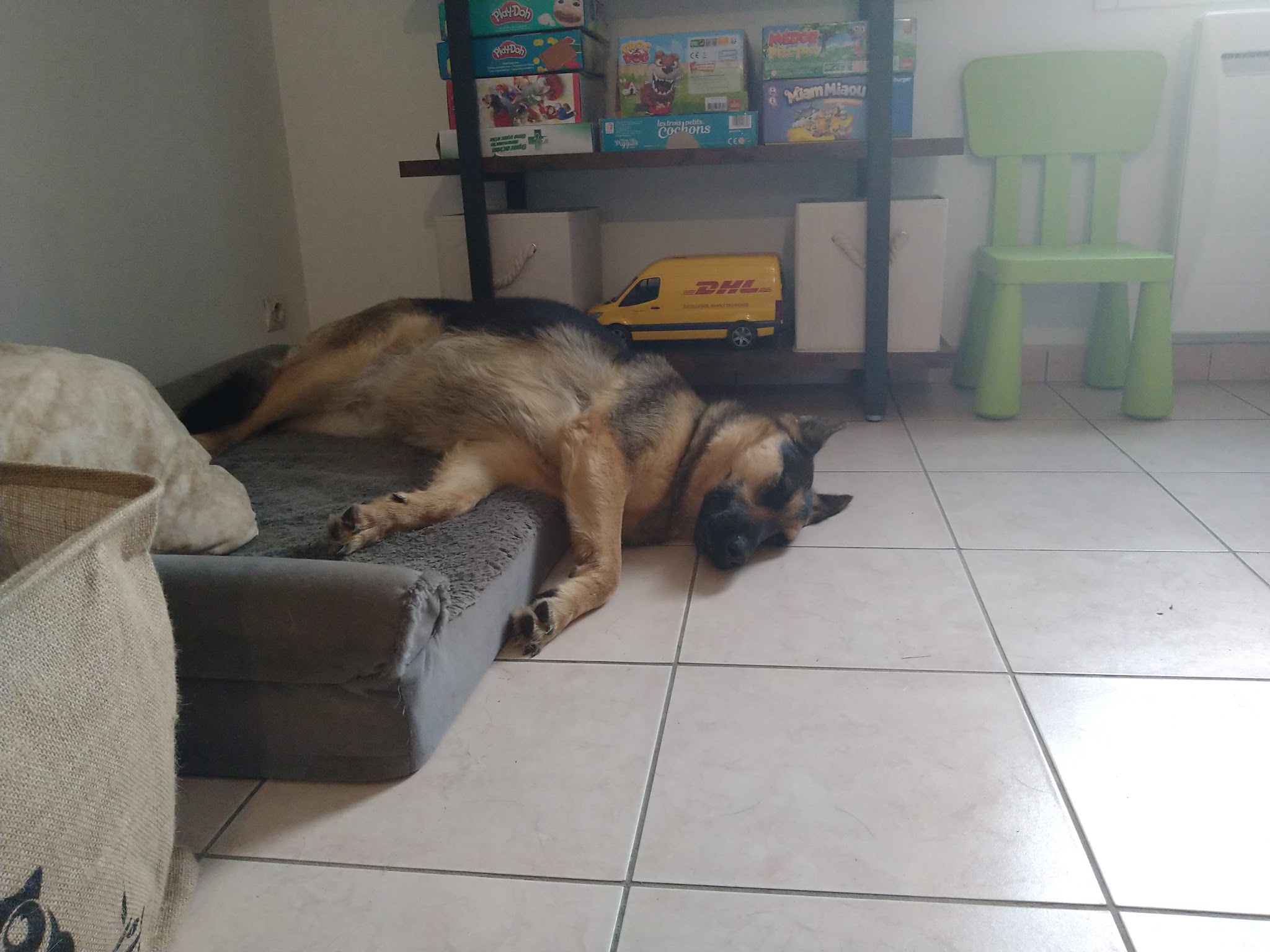 Les P'Ty Loups — photo