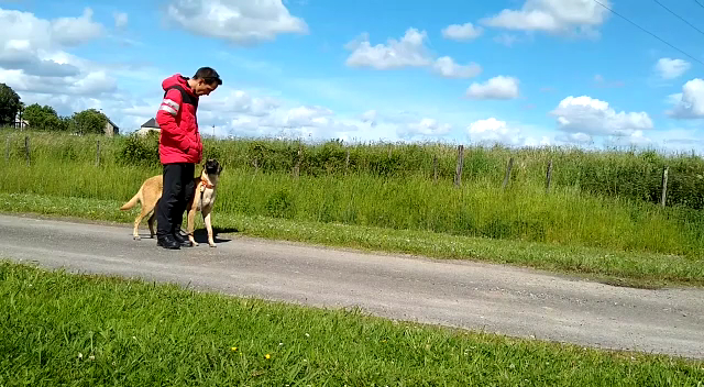 ABI'DOG Éducateur canin et garde de chiens Mourenx 64 — photo
