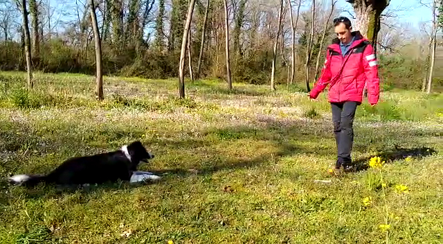 ABI'DOG Éducateur canin et garde de chiens Mourenx 64 — photo