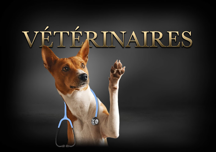 La conciergerie de DOG’S LAND Nice