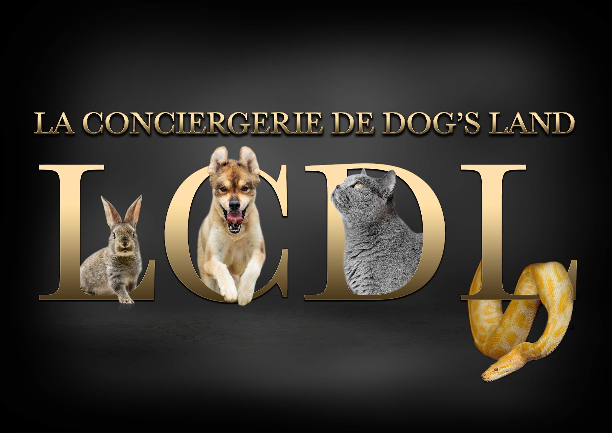 La conciergerie de DOG’S LAND Nice — photo