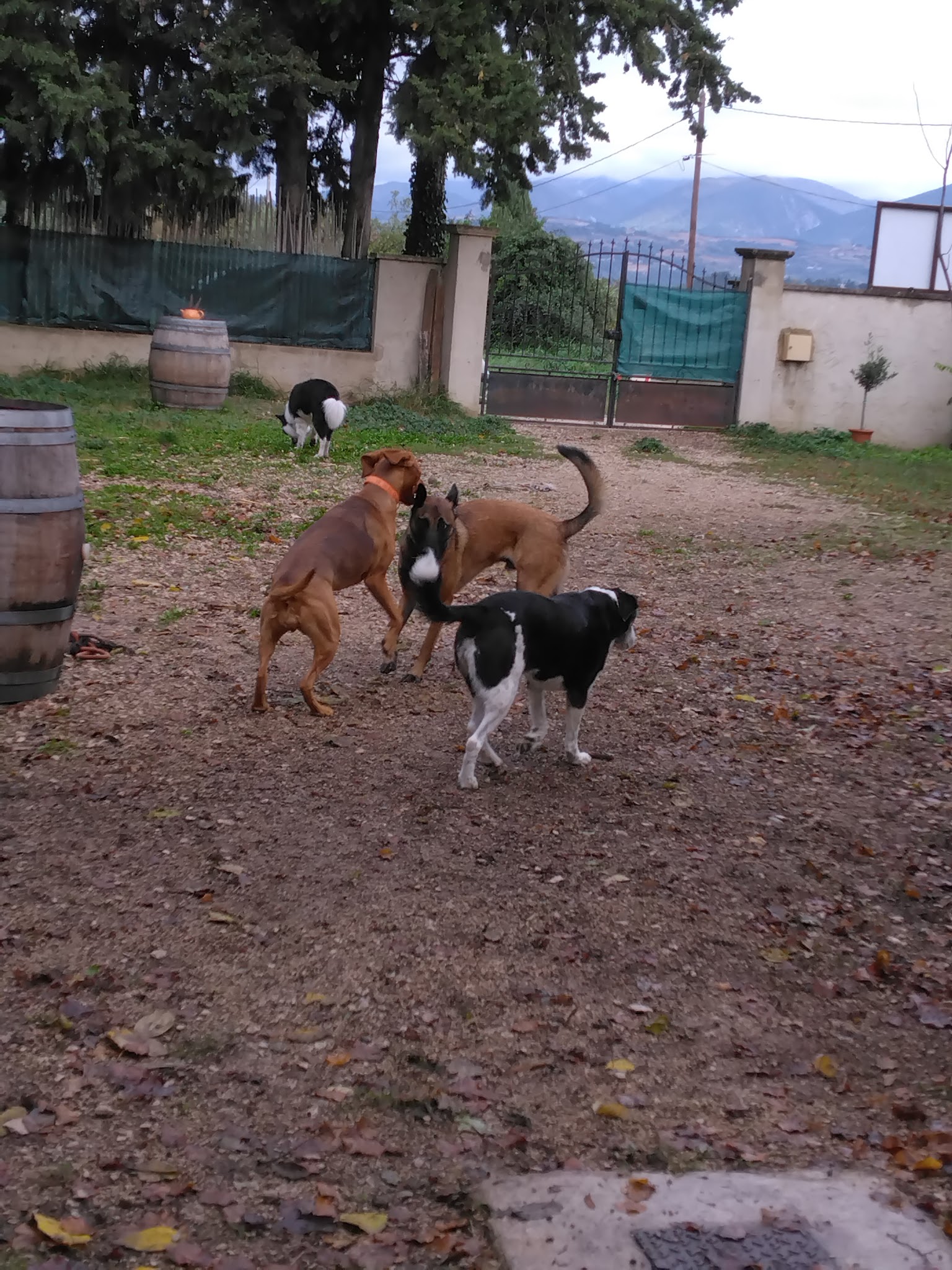 La coloc des copains 26 piégon — photo