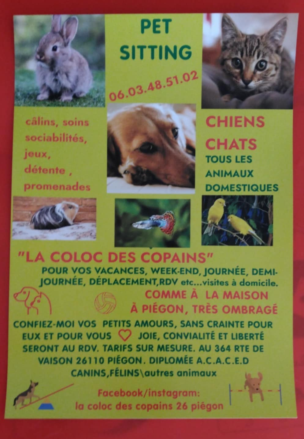 La coloc des copains 26 piégon