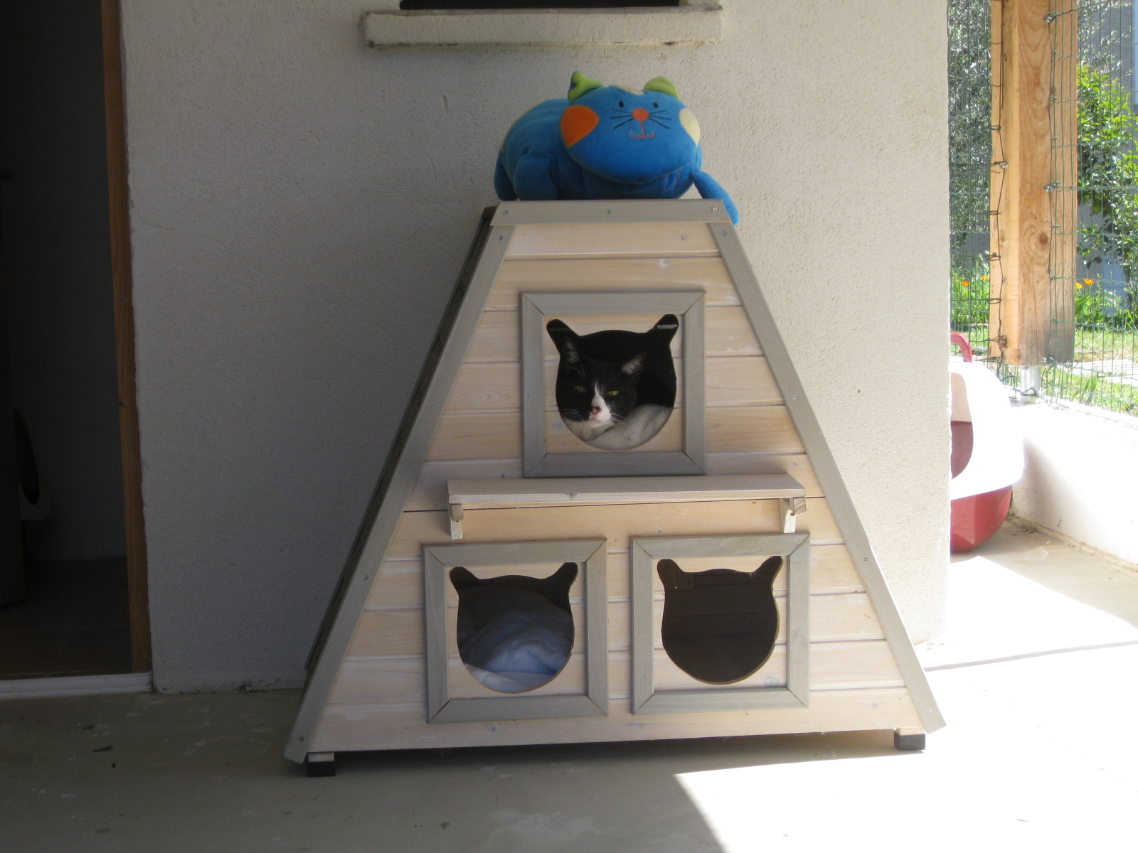 La maison de java — photo