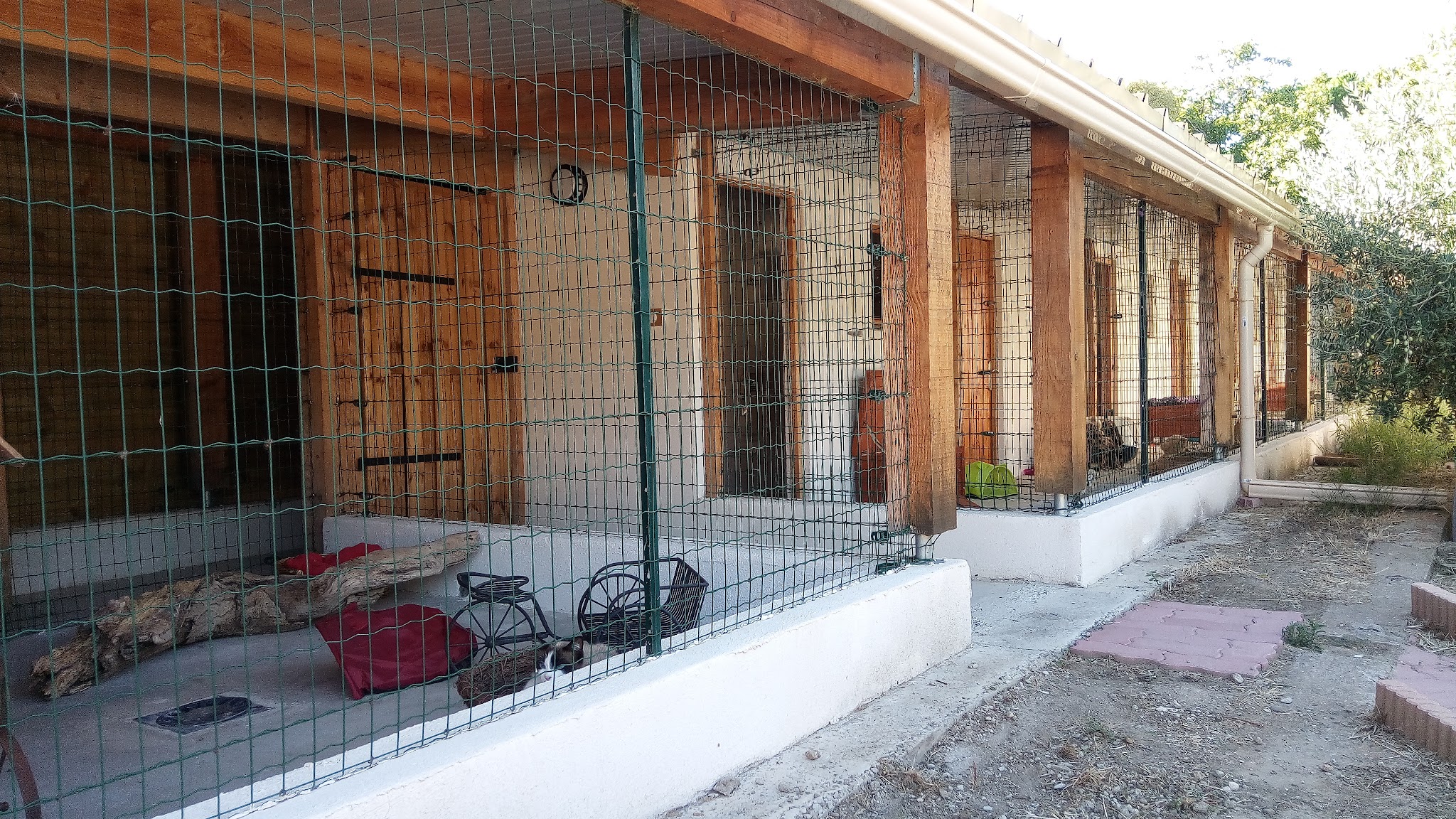 La maison de java — photo