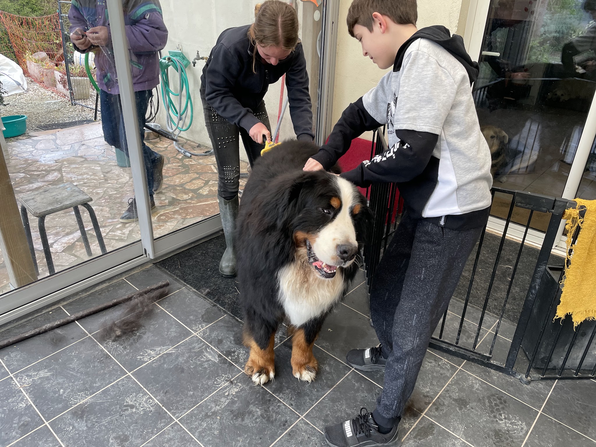 Pension canine Au bonheur à 6 pattes — photo