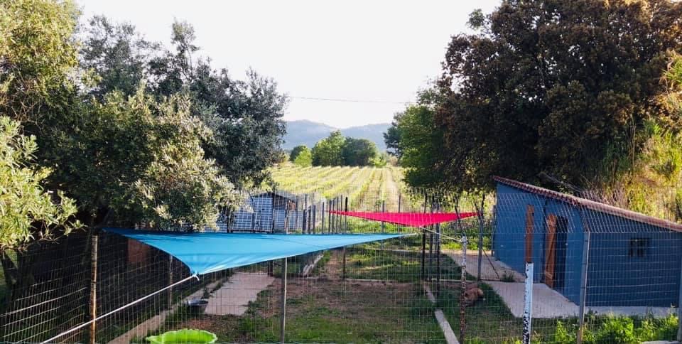 La Pension du Mont-Ventoux — photo