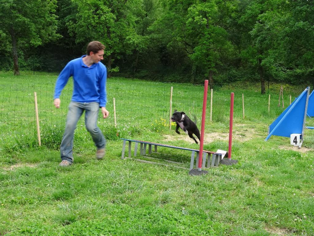 L'isle Aux Chiens - Pension canine & éducation (Isère) — photo