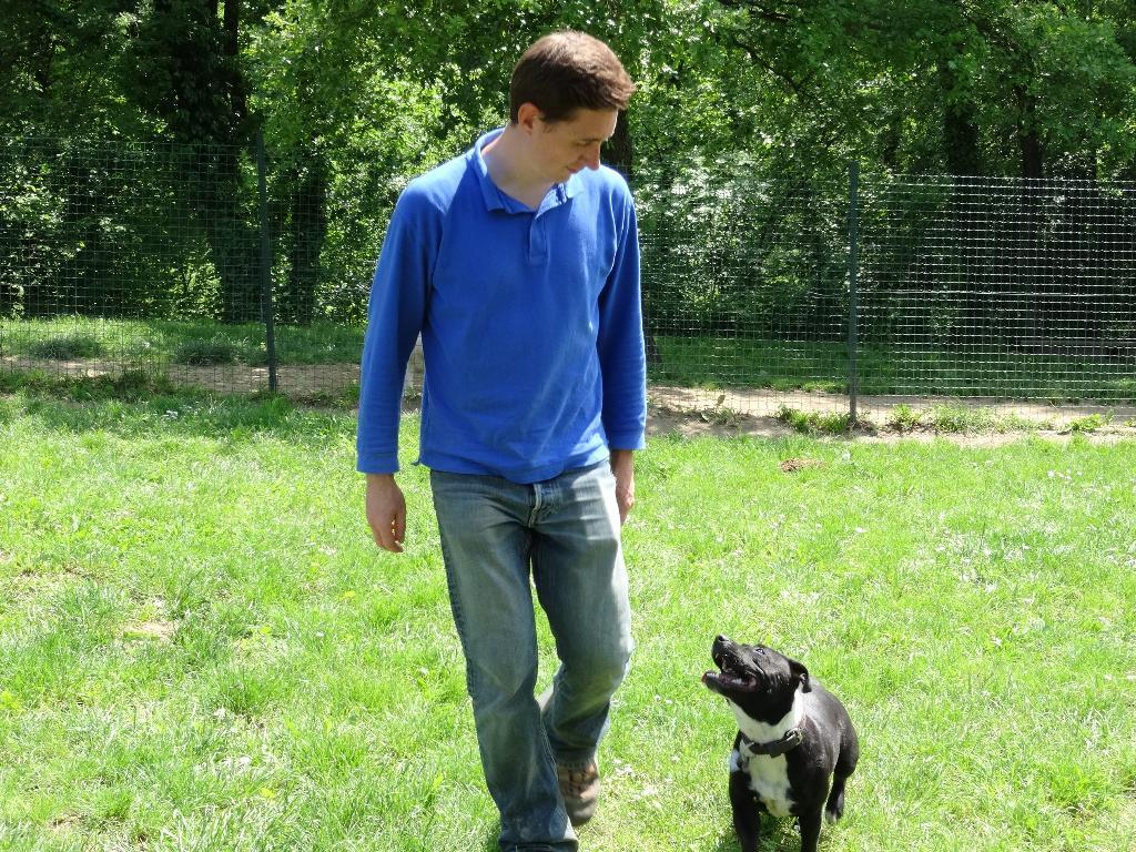 L'isle Aux Chiens - Pension canine & éducation (Isère) — photo